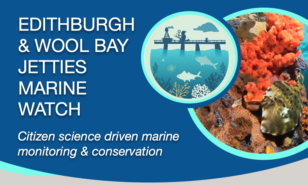 Edithburgh and Wool Bay Jetties Marine Watch